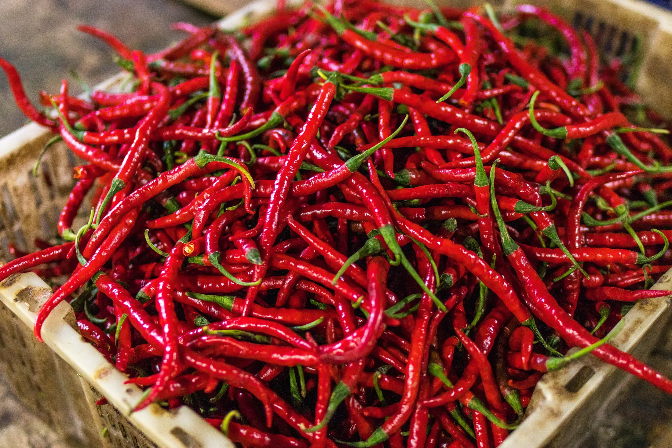 Crate of fresh long red chillies with green stems, photographed from overhead