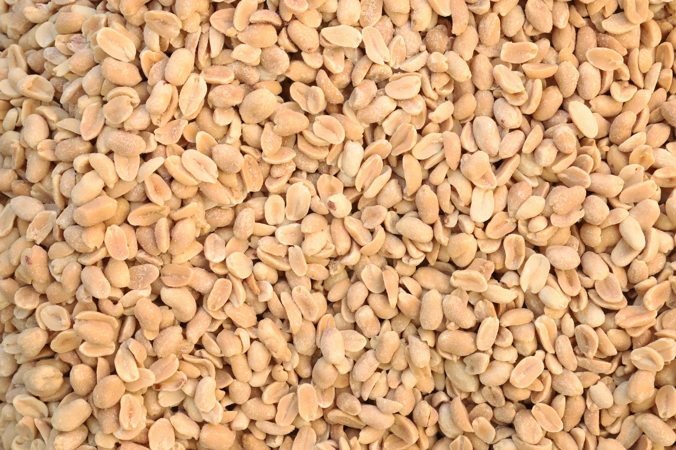 Dense full-frame texture of blanched peanut kernels
